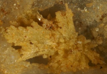 c 28 Silikatkörner pseudomorph nach Mimetesit A 